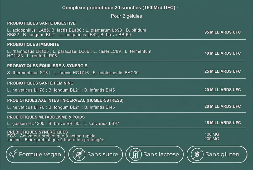 Synbiotic 150™ — Haute Concentration  —  Vital Ritual - Ingrédients