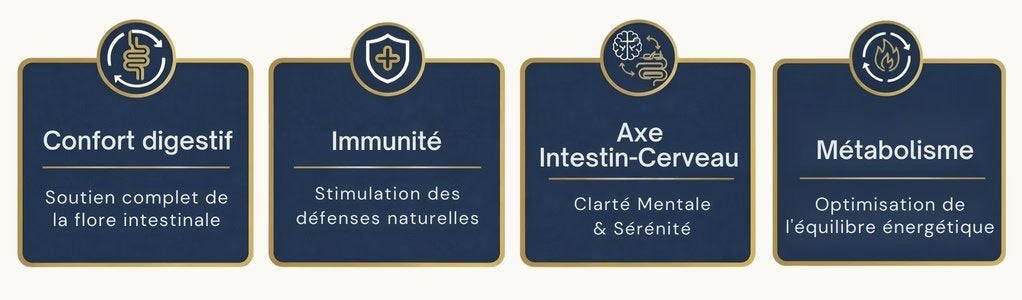 Synbiotic Santé Digestive - Immunité - Intestin -Cerveau - Métabolisme